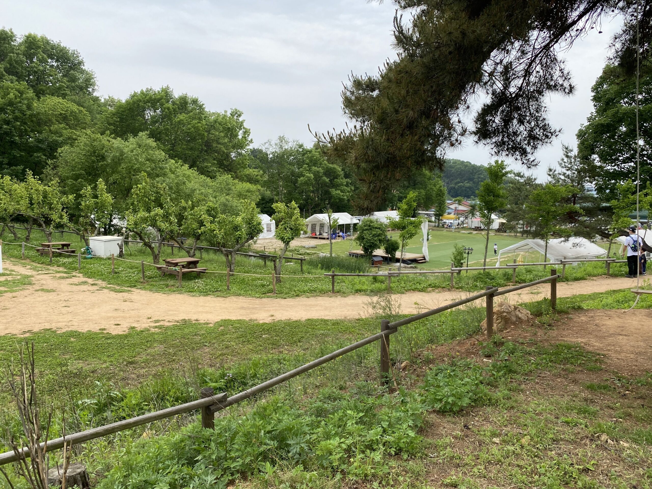 사이버대학교 빅데이터 학과 편입학 - 오늘생각
