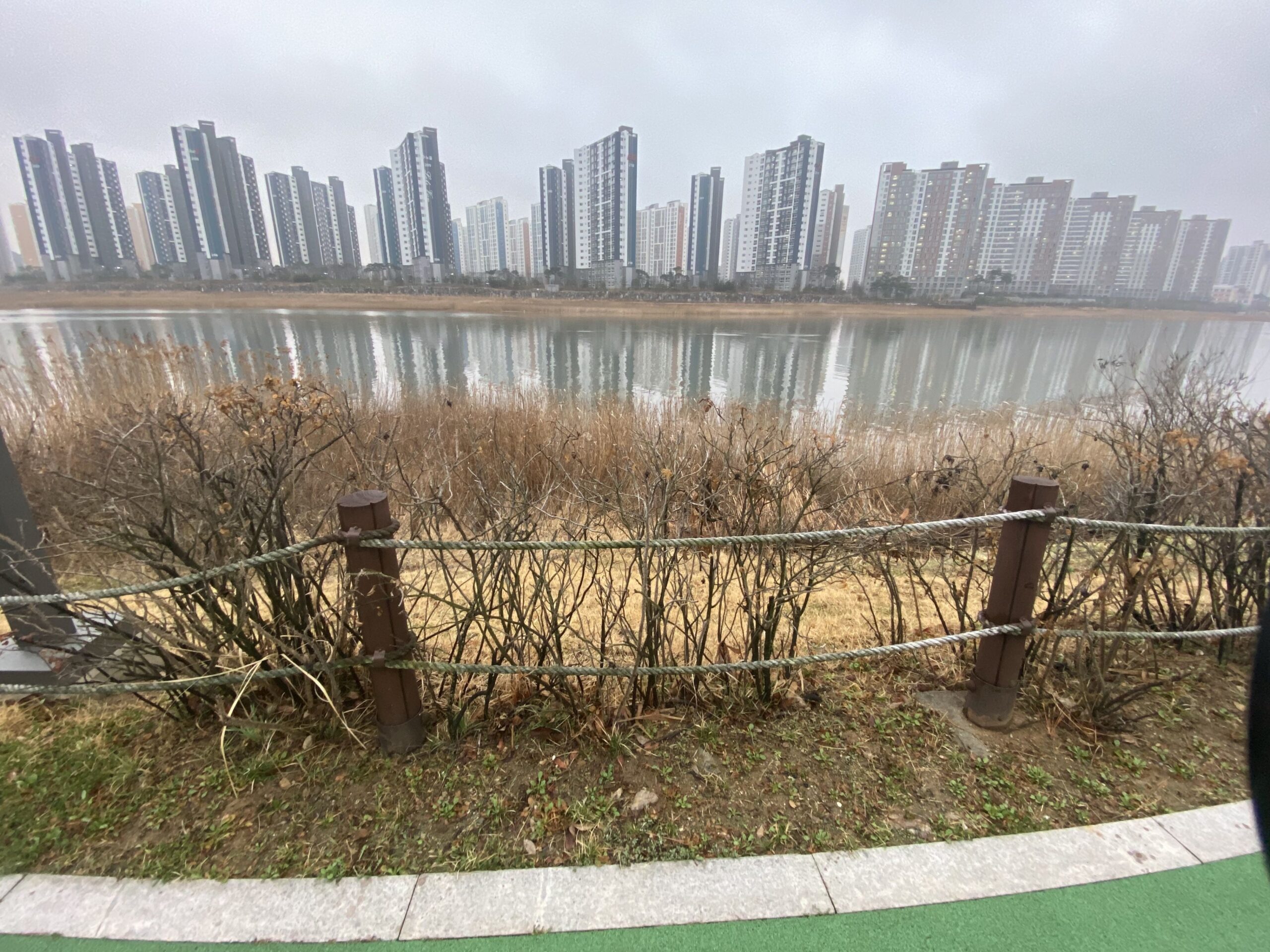 안산 수변 공원 매점 운영권 - 패찰 - 부동산이야기