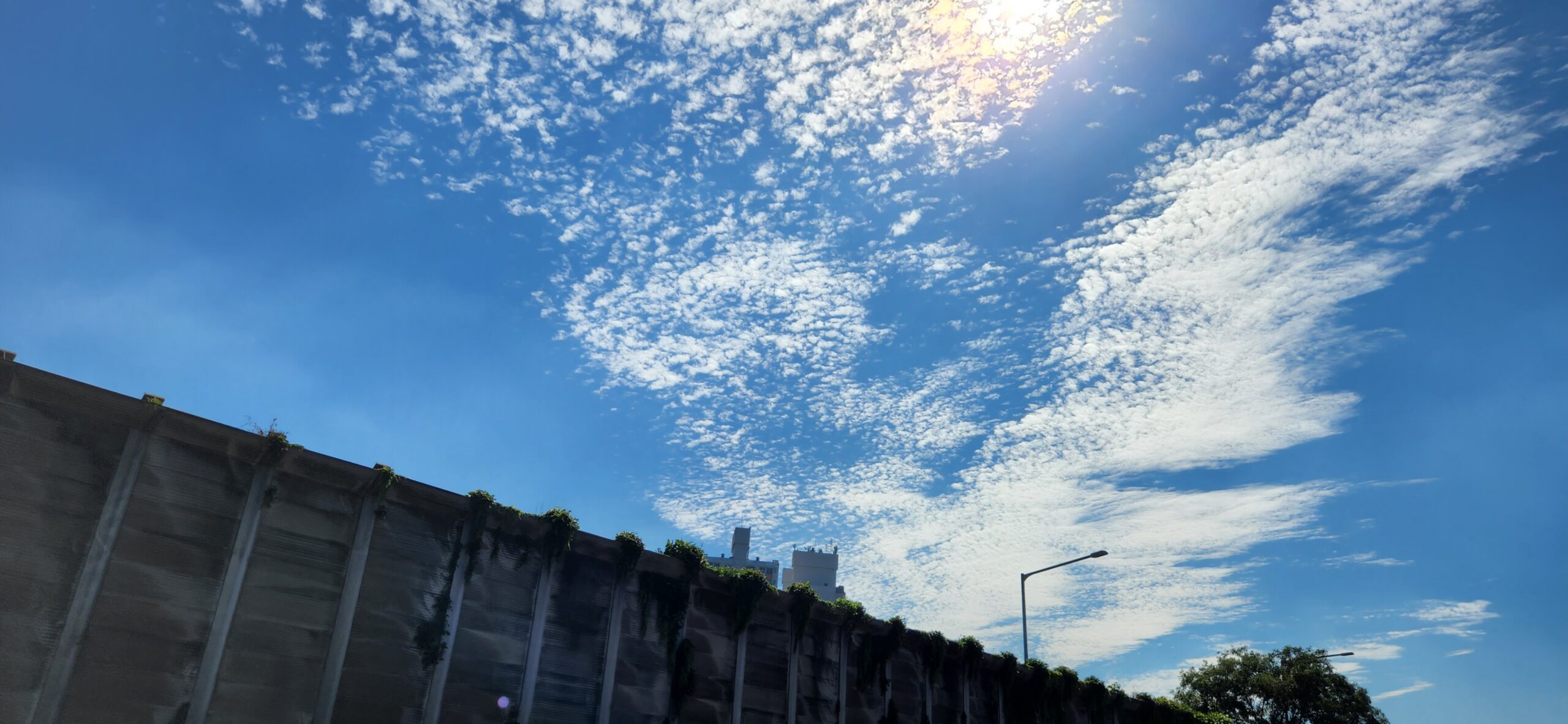 기분 나쁜 미용실 - 오늘생각