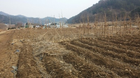 인제군 상남면 상남리 건축 가능하고 개천 접한 토지 매매 - 부동산이야기