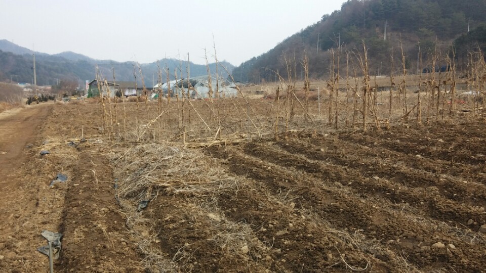 인제군 상남면 상남리 토지 매매 - 개천 접하고 건축 가능한 곳 - 부동산이야기