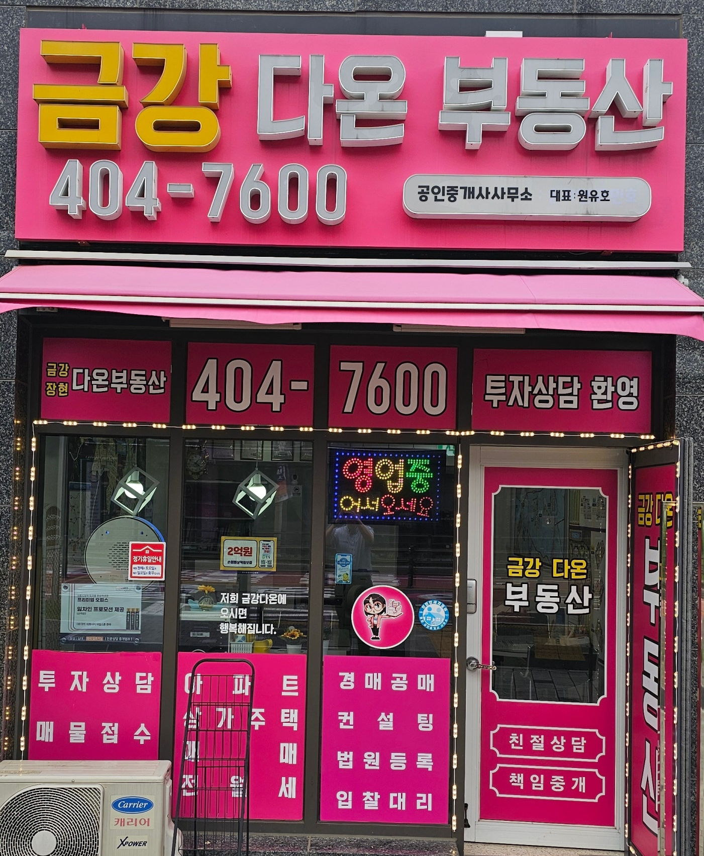 원리얼티 경공매 소개 (ft.금강 다온 공인중개사) - 경공매