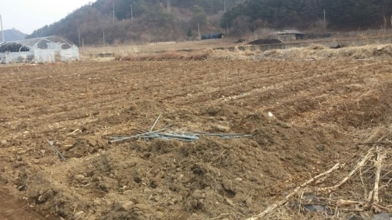 인제군 상남면 상남리 건축 가능하고 개천 접한 토지 매매 - 부동산이야기