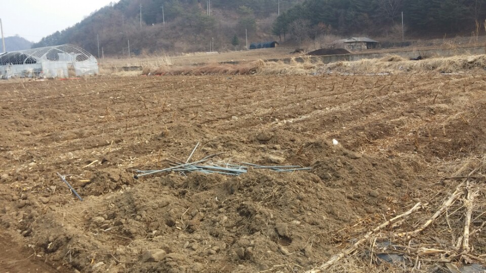 인제군 상남면 상남리 토지 매매 - 개천 접하고 건축 가능한 곳 - 부동산이야기