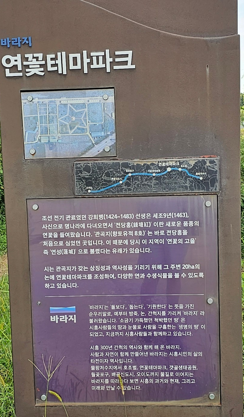 시흥 관곡지 나들이 (ft.연꽃테마파크) - [블챌] 체크인 챌린지
