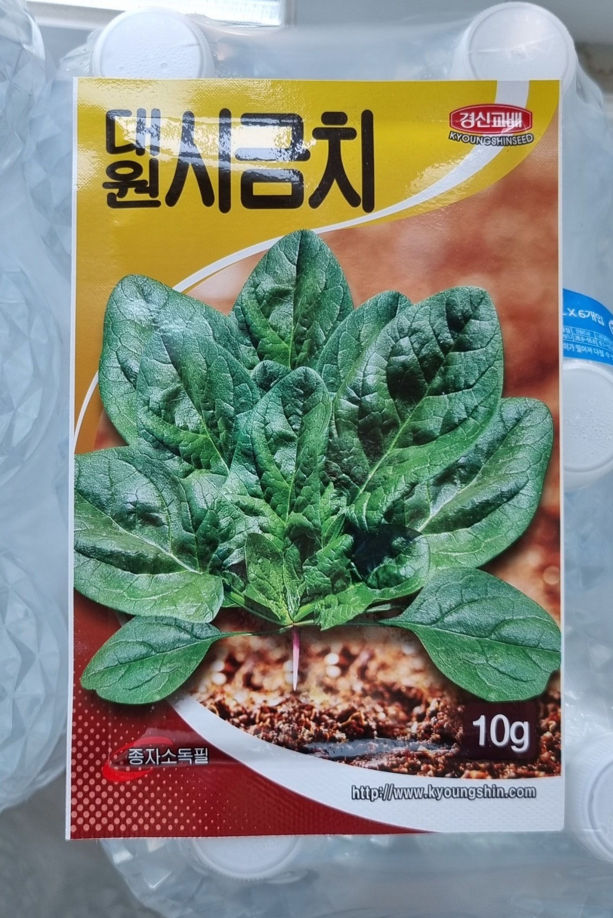 씨감자 및 씨앗 구매 - 주말농사짓기