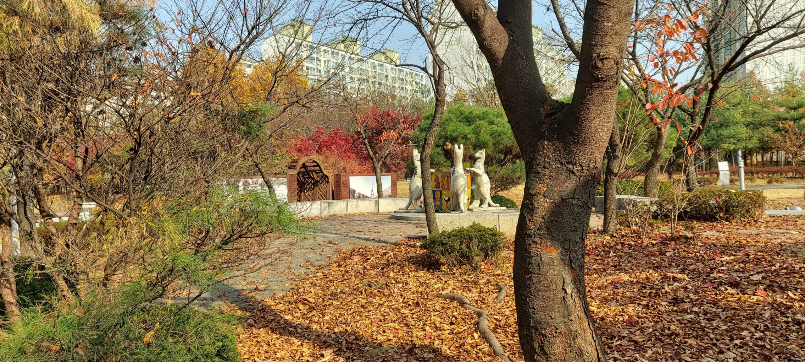 교하중앙공원 - 주말 나들이 - 포토로그