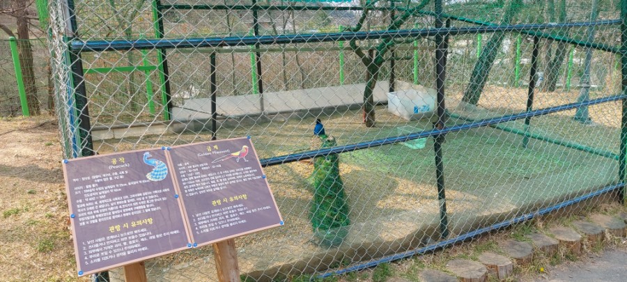 동물먹이주기체험-파주동화힐링캠프 - 여행 스케치