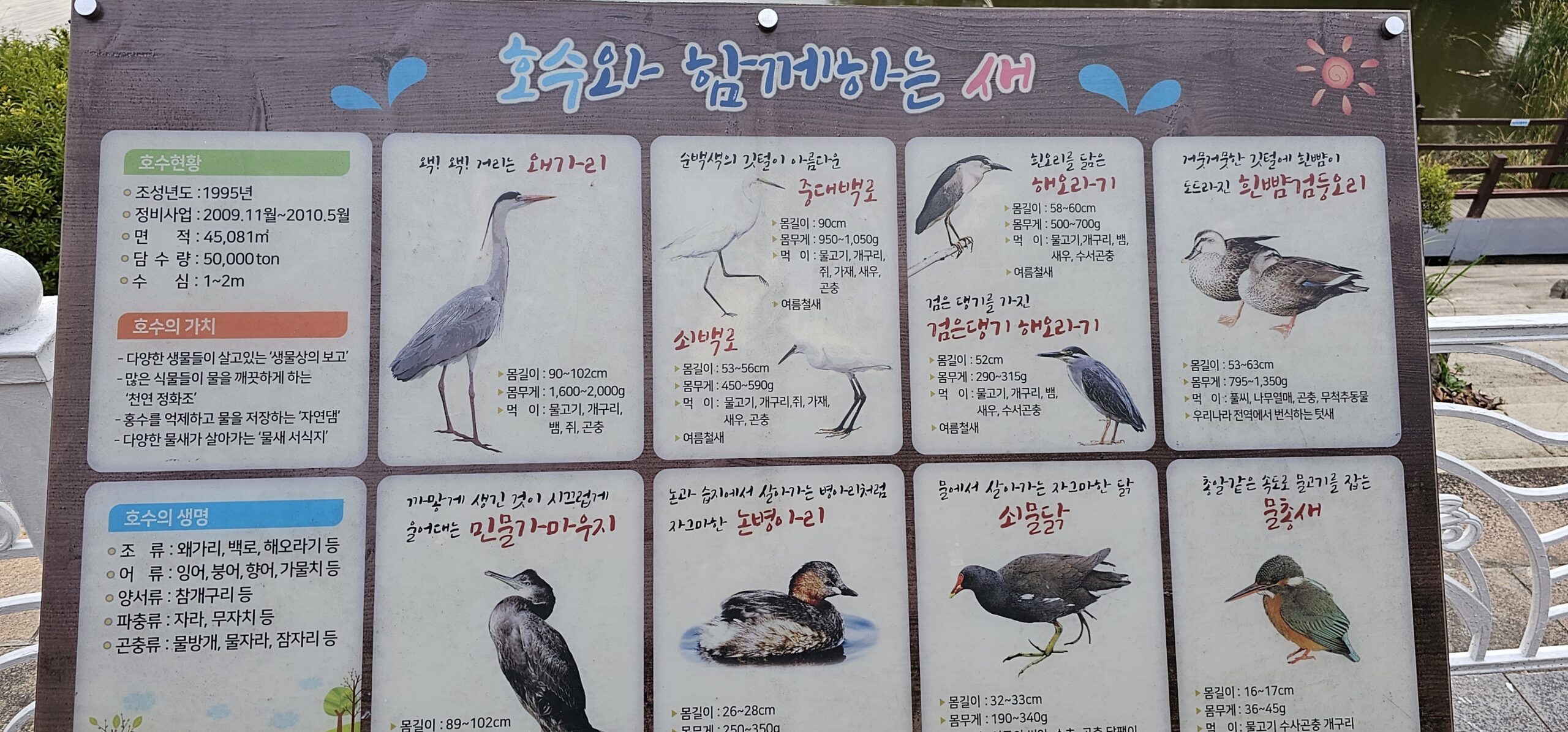 인천대공원 호수 산책 (ft. 잉어, 오리) - [블챌] 체크인 챌린지