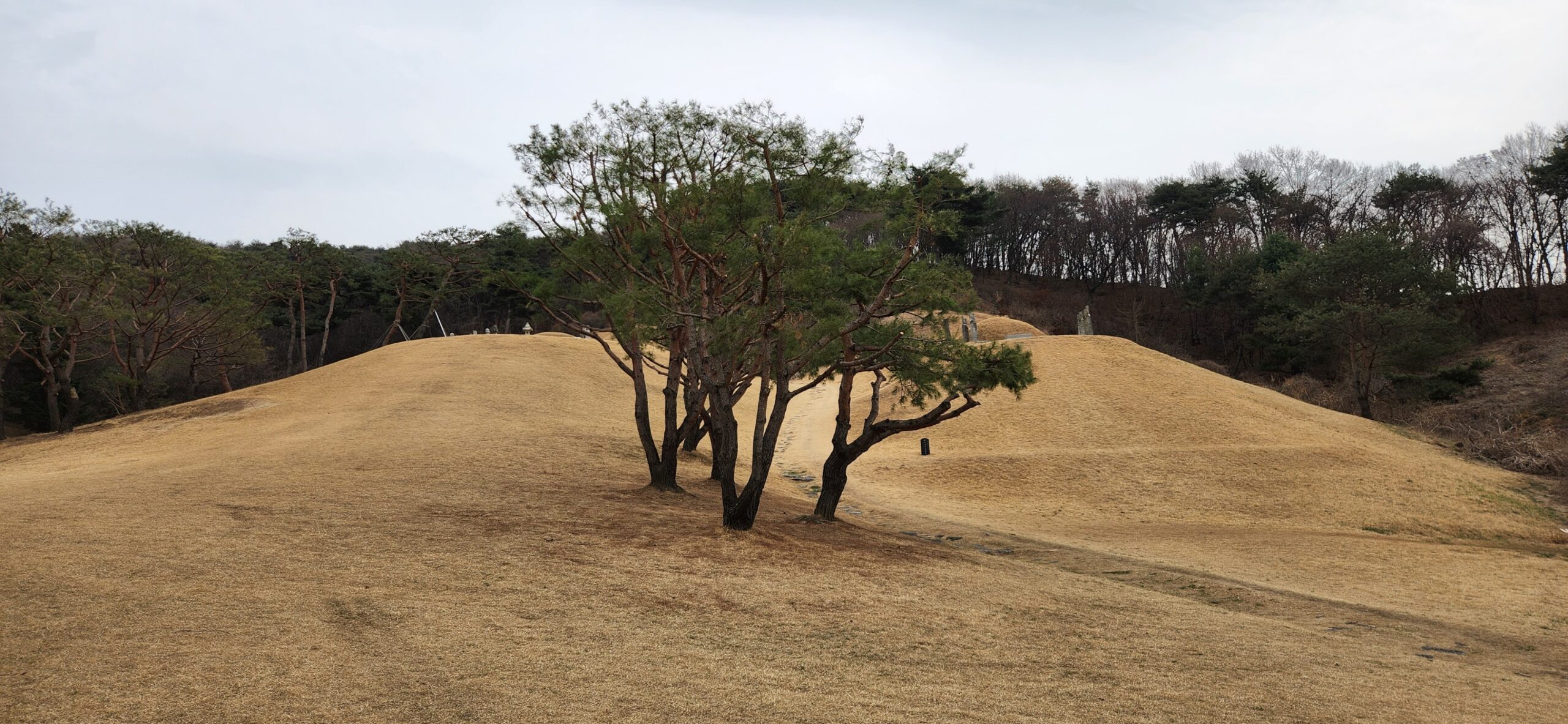 포은 정몽주 선생 묘소(feat. 저헌 이석형 선생묘) - 여행 스케치