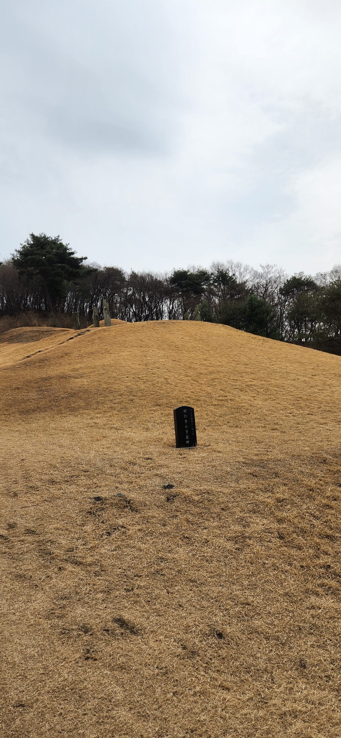포은 정몽주 선생 묘소(feat. 저헌 이석형 선생묘) - 여행 스케치